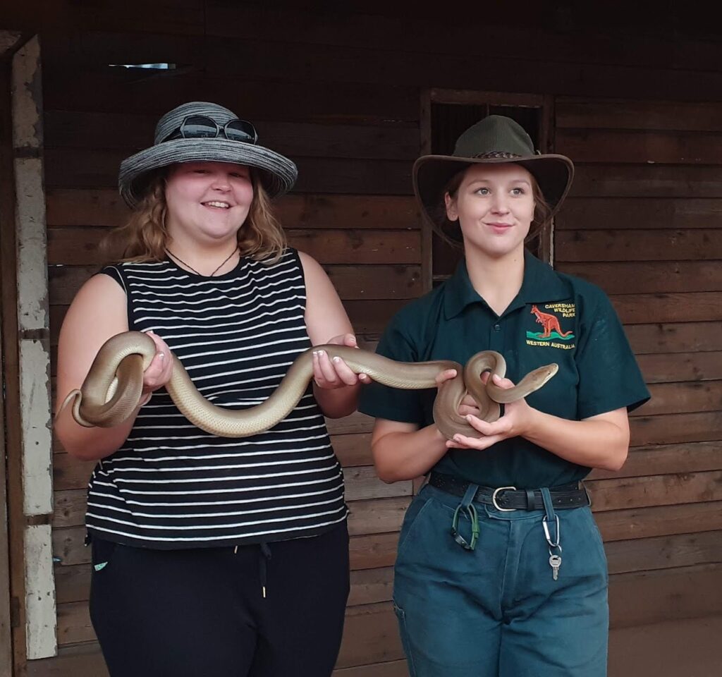 zoo